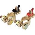 GTIWUNG 1 Pair Battery Quick Release Connectors with Wing Nut, Battery Quick Disconnect Terminals, 12V/24V Battery Terminals Clamps Boat/Truck/Car/Van