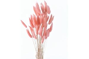 HDKAJL 50 Piezas de Hierba de Pampa, Ramo de Pampa Natural, Ramo de Flores Secas, Sin Olor, Nunca se Marchita, para Decoración del Hogar, Arreglos de Fiesta, Accesorios de Boda (Rosa)