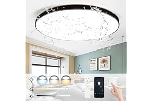 CHENBEN Plafon LED Techo, Regulable 3000K-6000K Lampara Techo 24W con Mando a Distancia y App 1600LM 32cm IP44 Lamparas de Techo Salon Dormitorio Cocina Pasillo Negro