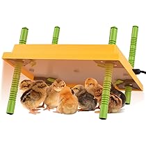 SHANNA Chick Brooder Heating Plate With Adjustable Temperature, 10"X10