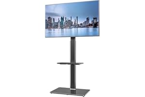 HEMUDU Universal Floor TV Stand with Swivel Mount for 19 to 42 inch LCD LED TV, 2 Shelves Black HT2001BP
