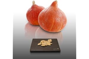 LE GRENIER D'ABONDANCE LES GRAINES QUI DONNENT ENVIE 8 graines à semer - Le Grenier d'Abondance - COURGE POTIMARRON - ou courge chataigne - Curcurbita Maxima