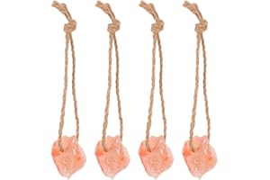 Toddmomy 4pièces Salt Blocks avec Support Et Bloc Minéral pour Chèvres Chevaux Vaches Et Cerfs Sel Minéral Naturel pour Élevage