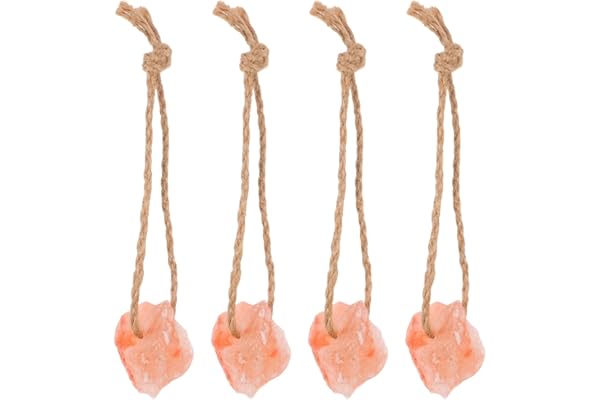 Toddmomy 4pièces Salt Blocks avec Support Et Bloc Minéral pour Chèvres Chevaux Vaches Et Cerfs Sel Minéral Naturel pour Élevage