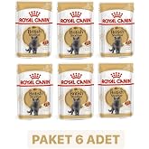 Royal Canin British Shorthair Adult Adult Adult Age Cat Food 85 Gr X 6 Pieces