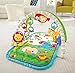 Fisher-Price 3-in-1 Musical Activity Gym