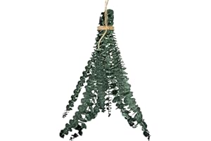 itrimaka 10 Plantas Eucalipto Natural para Ducha, Planta Ducha Colgante, Hojas Eucalipto Aromáticas Naturales Frescas para Decoración Bodas, Decoración del Hogar, Decoración Granja