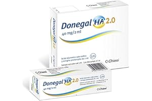 CHIESI FARMACEUTICI Chiesi Acido Ialuronico Donegal Ha 2.0, 40 Mg, 2 ml