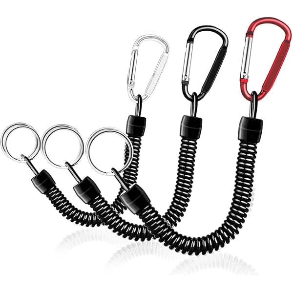Sleutelhanger met veer, spiraalsleutelhanger, 2 stuks, spiraalsleutelhanger, sleutelkoord, roestvrij stalen spiraalveer voor sleutels, kleine voorwerpen, reizen, vissen, werk