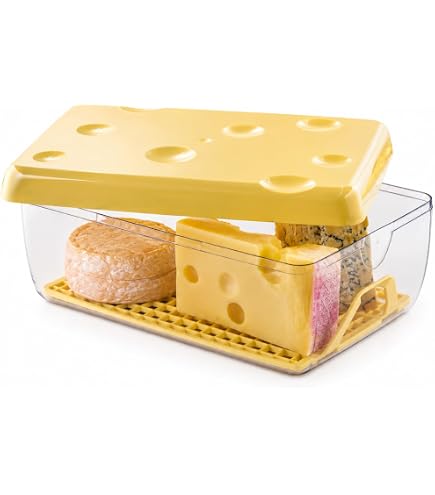 Snips Käsedose 3 L – Käsebehälter für Kühlschrank mit Deckel und Frischegitter, geruchsdichte Vorratsdose zur Käse Aufbewahrung, 26 x 17 x 10,5 cm, spülmaschinengeeignet – Made in Italy Küche, Haushalt & Wohnen