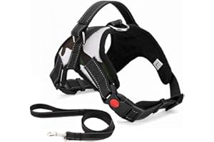 MUSONIC arnais pour Chien sans Traction, Confort Réglable et Respirable, Laisse Incluse, pour Petit Moyen et Grand Chiens, Idéal pour l'Entra?Nement et la Marche L Camo
