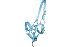 QHP Fohlenhalfter Halfter Fohlen Nylonhalfter 4 Fohlengrößen 6 Farben (Shetty Fohlen, hellblau)