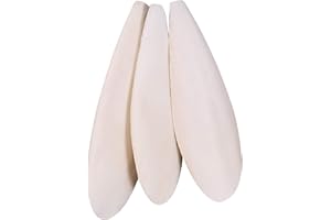 Bestomrogh Groß Sepiaschalen, 11-13 cm Sepiaschalen für Vögel Reptilien Schildkröten Bartagamen und Schnecken, Optimale Kalzium u. Mineralversorgung