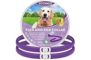 YOTANGO Flea Collar for Dogs, Flea and Tick Collar for Dogs, Flea Treatment for Dogs, Adjustable Dog Flea Collars 8 Months Natural Protection, Waterproof Dog Flea Collars for Puppies Large Dogs Purple 2Pcs