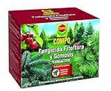 fungicida coniferas Fungicida preventivo y curativo, con gran efecto sistémico tanto ascendente como descendente