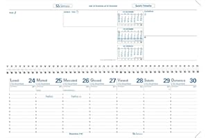 Quo Vadis 020006Q Agenda AGENDASCOP Lingua IT Anno 2026 Formato 30x10cm Settimanale Orizzontale con Spirale 13 Mesi Dicembre-Dicembre Carta Bianca Ricambio Agenda Blisterato Copertina Cartone Bianco
