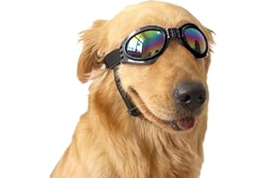 LANGING Sonnenbrille, faltbar, Winddicht, UV-Schutz, 1 Stück