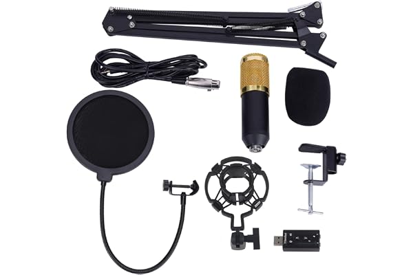BM800 Microphone à Condensateur Professionnel, Double Couche en Acier Inoxydable et Plastique, Cardioïde, avec Capuchon en Mousse, pour Studio d'Enregistrement