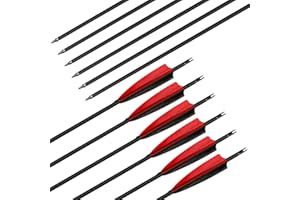 Deweey 12pcs Hunting Arrows 31" Carbon Arrows with 3" Feathers Targeting Arrows with Replacement Screw-In Broadheads Archery Arrows for Recurve Bow Longbow and Traditional Bow