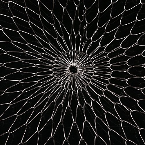 Miaogo Küchensieb, seiher, Chef Basket, Frittierkorb,Für Gemüse & Obst & Leckere Fritten , Edelstahl, Faltbar, 24*14cm - 7