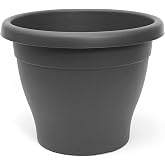AC - Mediterranean Pot - Durable Plastic - Ideal for Home, Plants, Garden, Decoration - Plant Care - Round Shape - &Oslash; 20 cm -