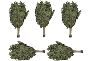 Dufte Momente | 5 x Birken Reisig, Wenik, Quast für Sauna, Banja | aus Ernte 2024 | einzeln verpackt und luftgetrocknet | mehrfach verwendbar ¬| Länge ca. 50-60cm, Gewicht ca. 190g