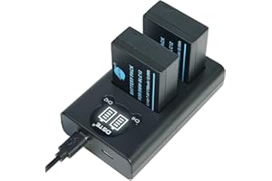 DSTE® Lot de 2 Batteries DMW-BLC12 DMW-BLC12e + kit de Chargeur Rapide Double USB pour appareils Photo Panasonic Lumix DMC-GH2 DMC-FZ330 DMC-FZ200 DMC-FZ200GK DMC-FZ1000 V-LUX4 Leica Q comme