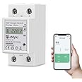 eMylo Smart Meter Energy Monitor, 1-Phase Electricity Usage Monitor, 60A 90-250V WiFi Power Monitors, 1% High Accuracy for Home Appliances/Solar/Net Metering, Smart Life APP Remote Monitoring