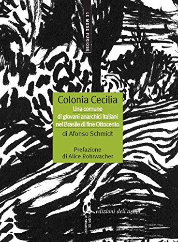 Afonso Schmidt - Colonia Cecilia (2015)