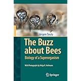 The Buzz About Bees: Biology of a Superorganism