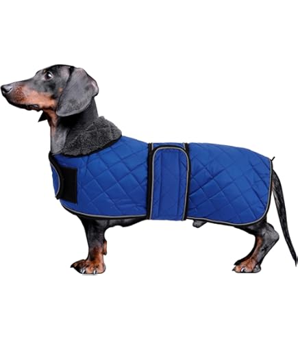 DachsDesign® Teckel Jas Fleece - Groen kopen? - De Teckelshop