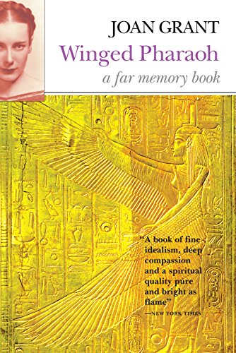 Far Memory