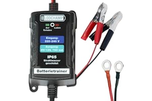 LODCHAMP 146303 Battery Trainer 6 V/12 V-750 mAh IP65 Wartungsladegerät Batterieladegerät Wartungsladegerät für Auto, Motorrad, Quad, ATV, Boot, Silber