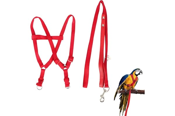 Felenny Harnais et Laisse réglable pour Oiseaux - Accessoires Essentiels pour extérieur - Anti-Morsure - Convient pour Les aras, Les Conures, Les cacatoès et Les perroquets (Red)