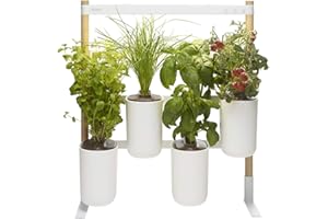 Prêt à Pousser ❃ Modulo, Votre Potager d'intérieur évolutif ❃ (Inclus capsules : Basilic Grand Vert, Menthe Marocaine, Ciboulette, Mini Tomates)