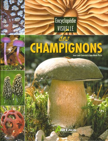 couverture de : Encyclop&eacute;die Visuelle des CHAMPIGNONS