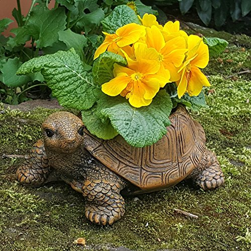 Schildkröte als Gartendeko Gartenfigur Pflanztopf Schuh Blumentopf Übertopf Schildkröte Tiere Wildlife Deko Figur Turtle - 2