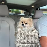 PETTY COMFORT 3 Function Console carrying Case-dog car seat-dog Bed-at Home Outside in the Car (Beige crowbar)