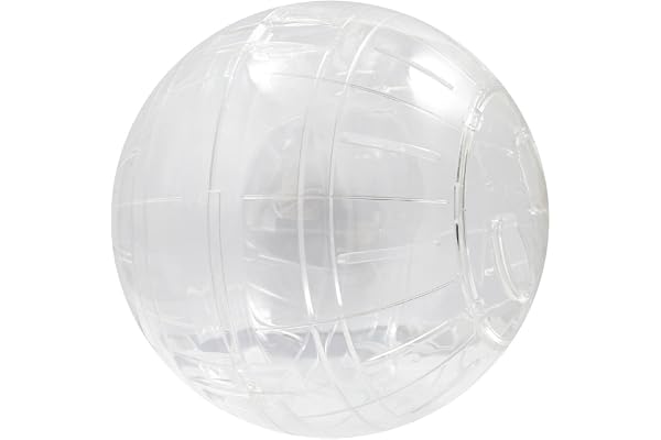 Riga- 0187 - Boule Gym pour Hamsters - Modèle aléatoire, Couleur Assorti - 18 cm