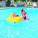 Surfit Pool Lts Baby Seat for 0-1 Years (upto 11 Kg)
