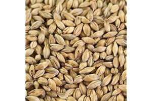 WEYERMANN 1 kg Pale Ale Malz für Lagerbiere und Ales EBC 5,5-7,5