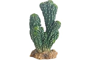 Hobby 37019 - Cactus Victoria 1, altezza 19 cm, decorazione artificiale in terrario, colore: Verde
