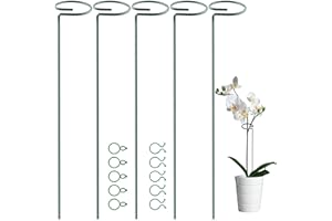 OMATSBEH 5 Pack 60 cm 23.5 inch Plant Support Stakes, Garden Single Stem Stake Amaryllis Cage Rings with 10 pcs Clips for Tomatoes Orchid Lily Peony Rose Flower (60 CM)