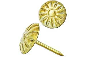 FUXXER® - 100 x antifärgade naglar, dekorativa huvud-naglar, stoppade naglar, slit-ändamål, vintage antik utseende, 11 mm rundhuvud, 11 x 17 mm, set med 100 cm