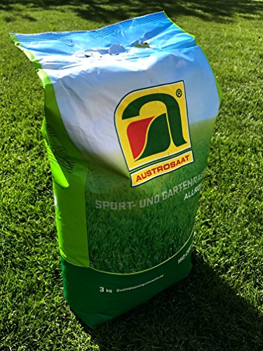 Premium Spiel- und Garten Rasensamen – für bis zu 200m2 Traumrasen – hochwertige Allround Mischung - 4