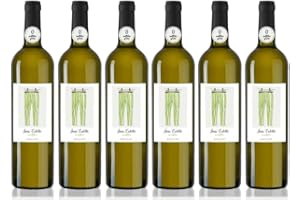 OKOIUM Vin Blanc Sec sans Sulfites Ajoutés - Gaillac AOP - Gamme Sans Culotte ni sulfites ajoutés - Carton de 6 bouteilles