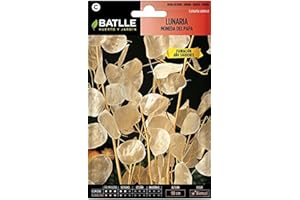 SEMILLAS BATLLE Batlle - Semi di Fiori lunaria Moneta del Papa