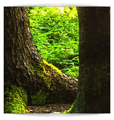 FOTOTAPETE Wald grün – KOMPLETT SET MIT KLEISTER – XXL 400×280 CM PREMIUM VLIES TAPETE – PROFI QUALITÄT (Keine Papiertapete, keine Blasenbildung) – Top moderne Wanddeko – Fototapete 3D Illusion – Riesen Wandbild – Top Design Tapete – Neue exklusvie Edition mit noch besser Druckauflösung – Deutsches Premium Vlies (Kein Import Vlies oder PVC), Schlafzimmer, Wohnzimmer, Kinderzimmer geeignet. FOB0083a84XL - 6