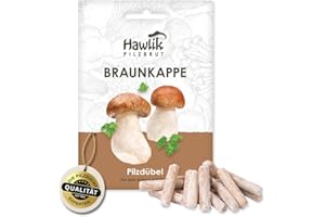 Hawlik Pilzbrut I the Original I Brown Cap as Dowel Breed for Growing Yourself I Easy to Grow Fresh Mushrooms | 20 Mushroom Dowels for Breeding on Straw