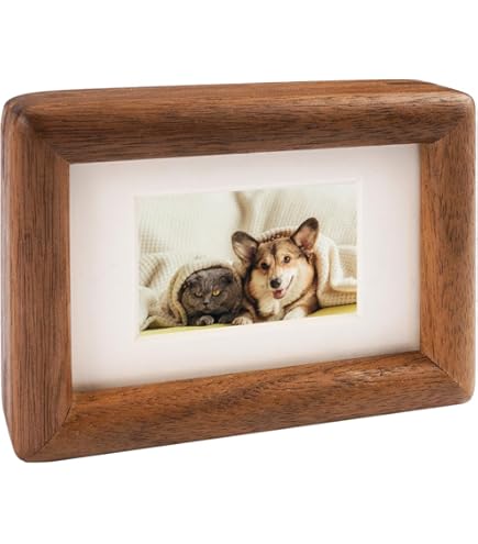 Winlor kleine fotolijstjes, mini-fotolijstje voor babyfoto's, 2x3 inch, set van 6, voor tafeldecoratie, polaroidfotolijstje met zachte magneet, schattige koelkastmagneten, groen